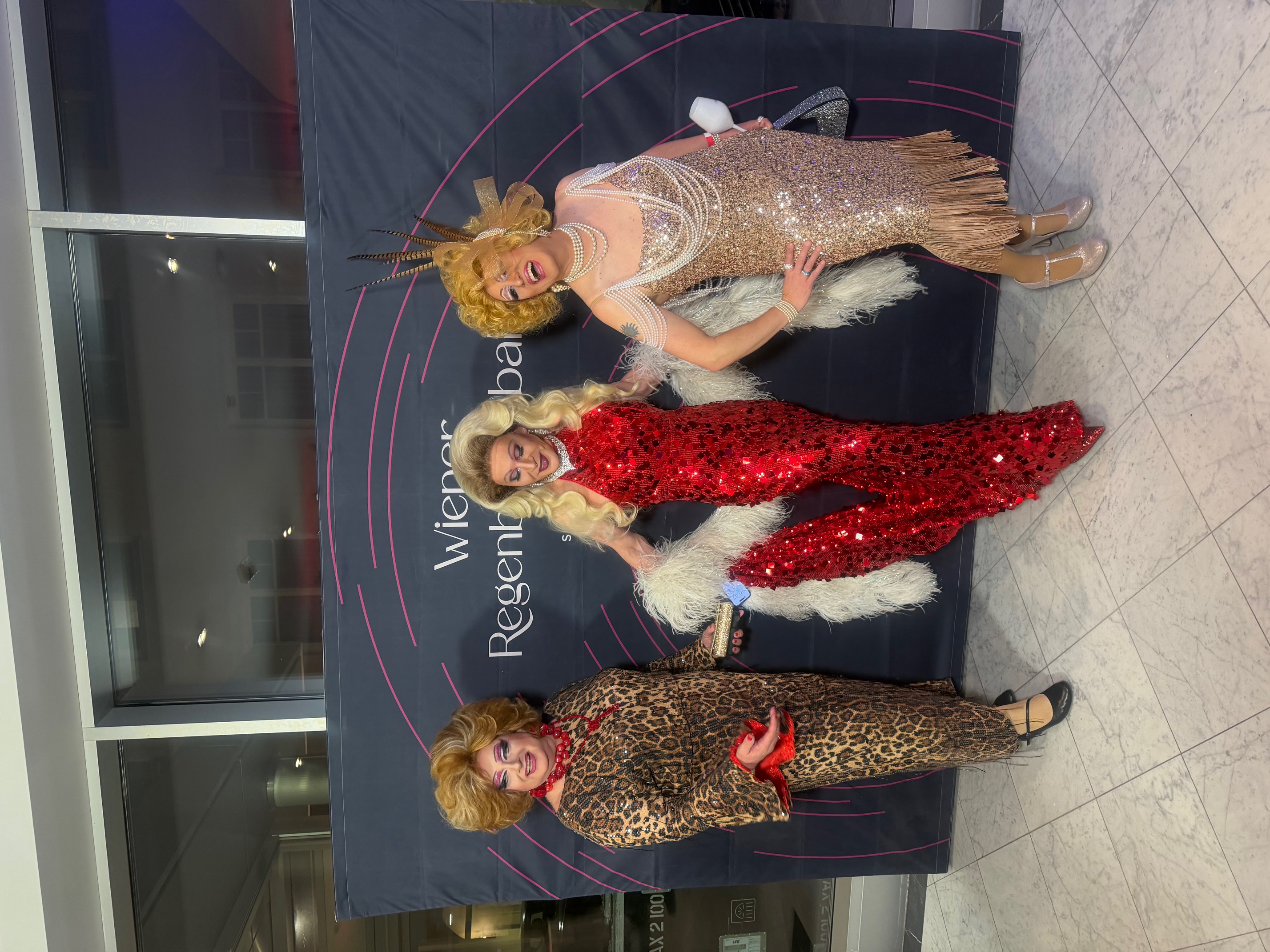 Wiener Regenbogenball 3