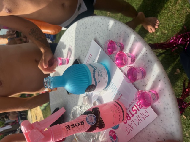 Pink Lake 2026 H CheersQueersStyle